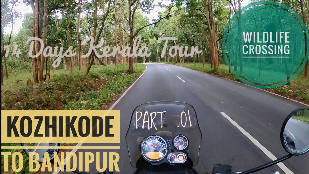 14 Day Kerala Tour | Day-1 Kozhikode to Bandipur | Wild Elephant Deer Cheetah | Bandipur Wild Life