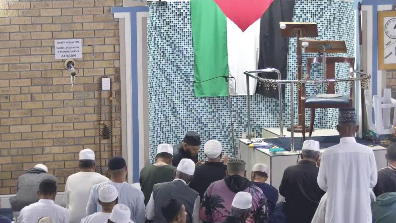 Live Stream