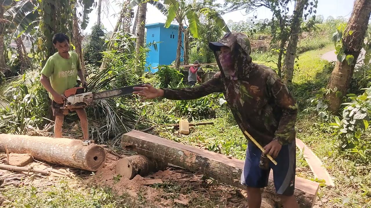 Belah potongan no 1 pohon kelapa bikin tangga kandang ayam di jatisawit kaliwangu mandiraja
