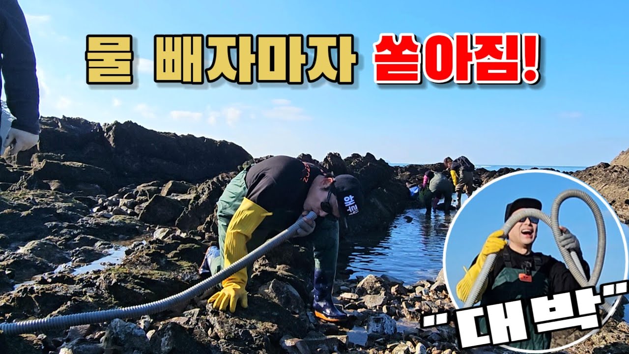 싱크대 호스로 갯바위 물 다 뺐더니 쏱아졌습니다