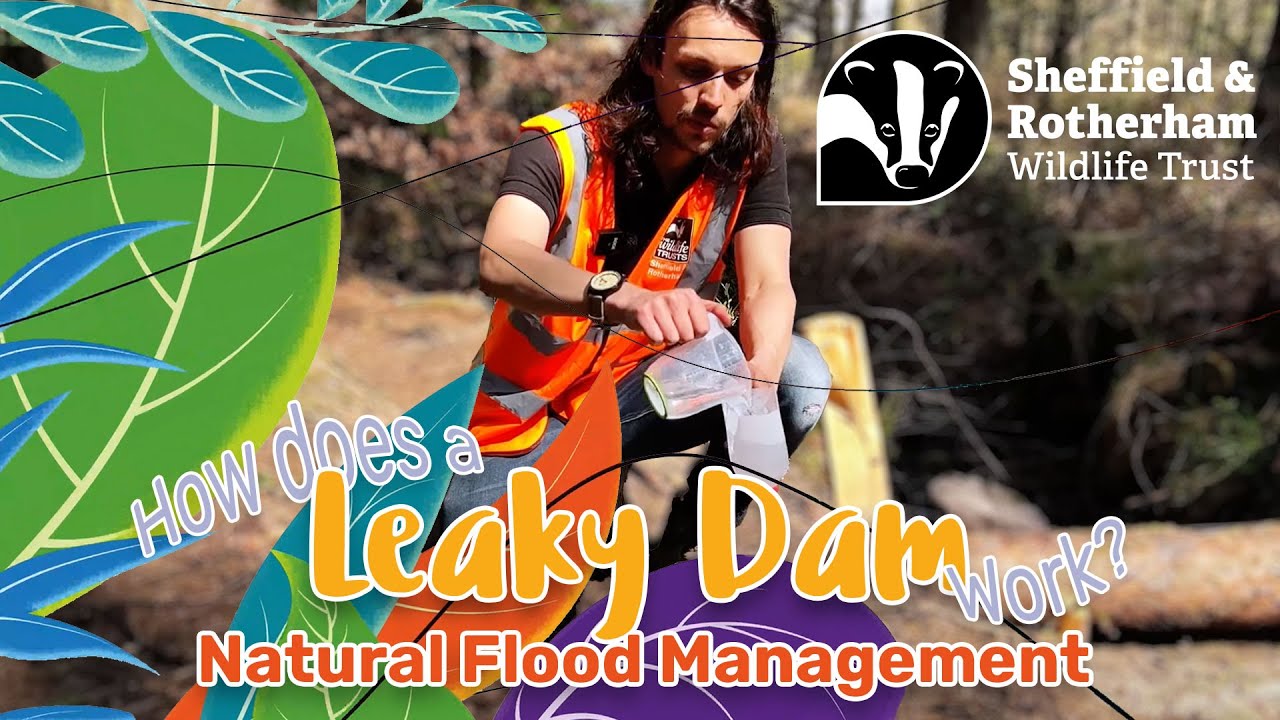 How does a Leaky Dam work? Leo's Natural Flood Management demonstration
