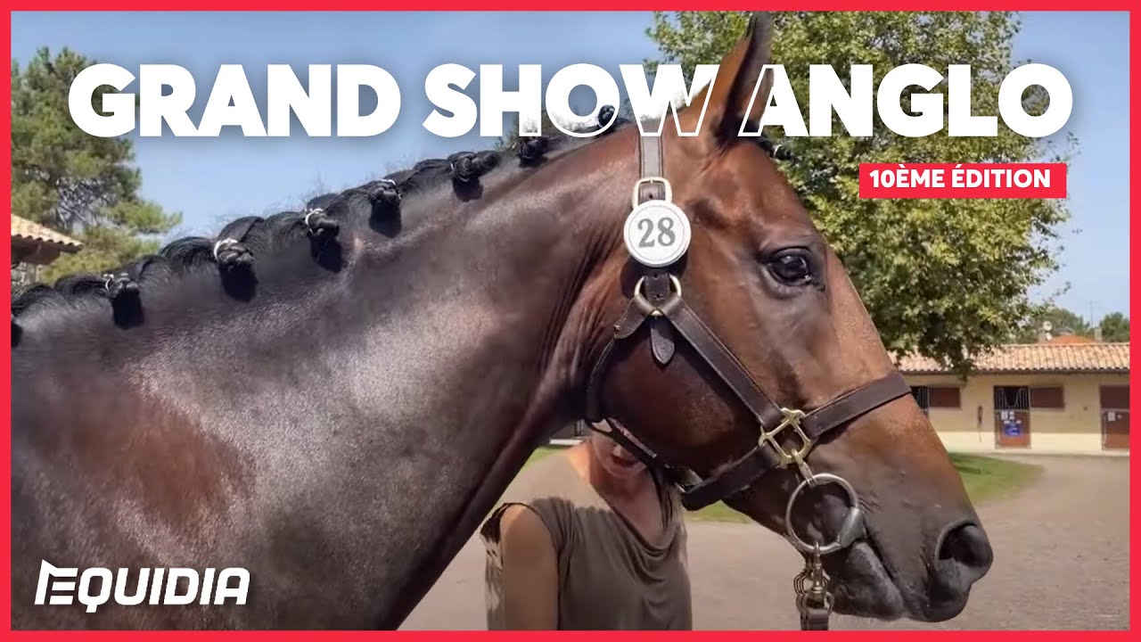 10ÈME ANNIVERSAIRE DU GRAND SHOW ANGLO