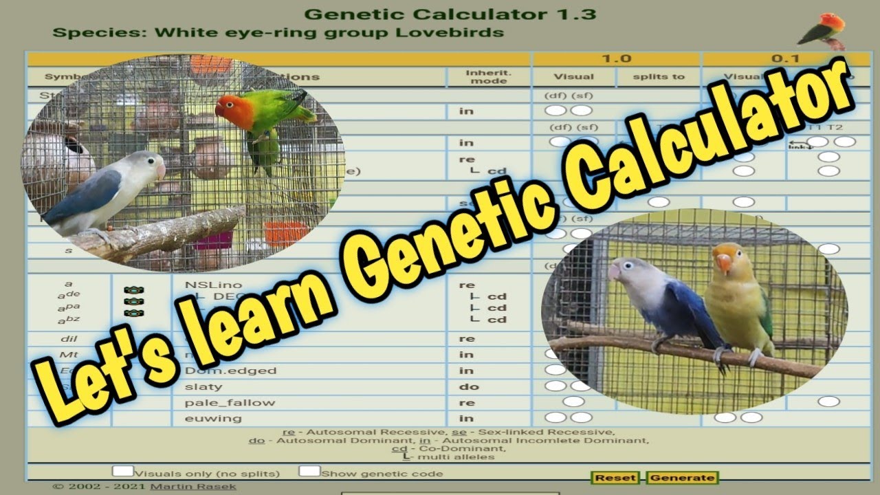 Let's Learn Genetic Calculator