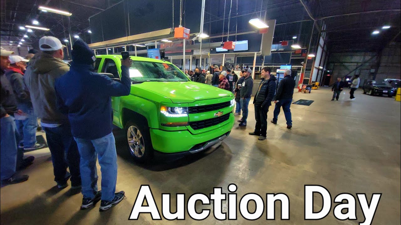 Another Day At The Auction Lets See How It Goes!!!