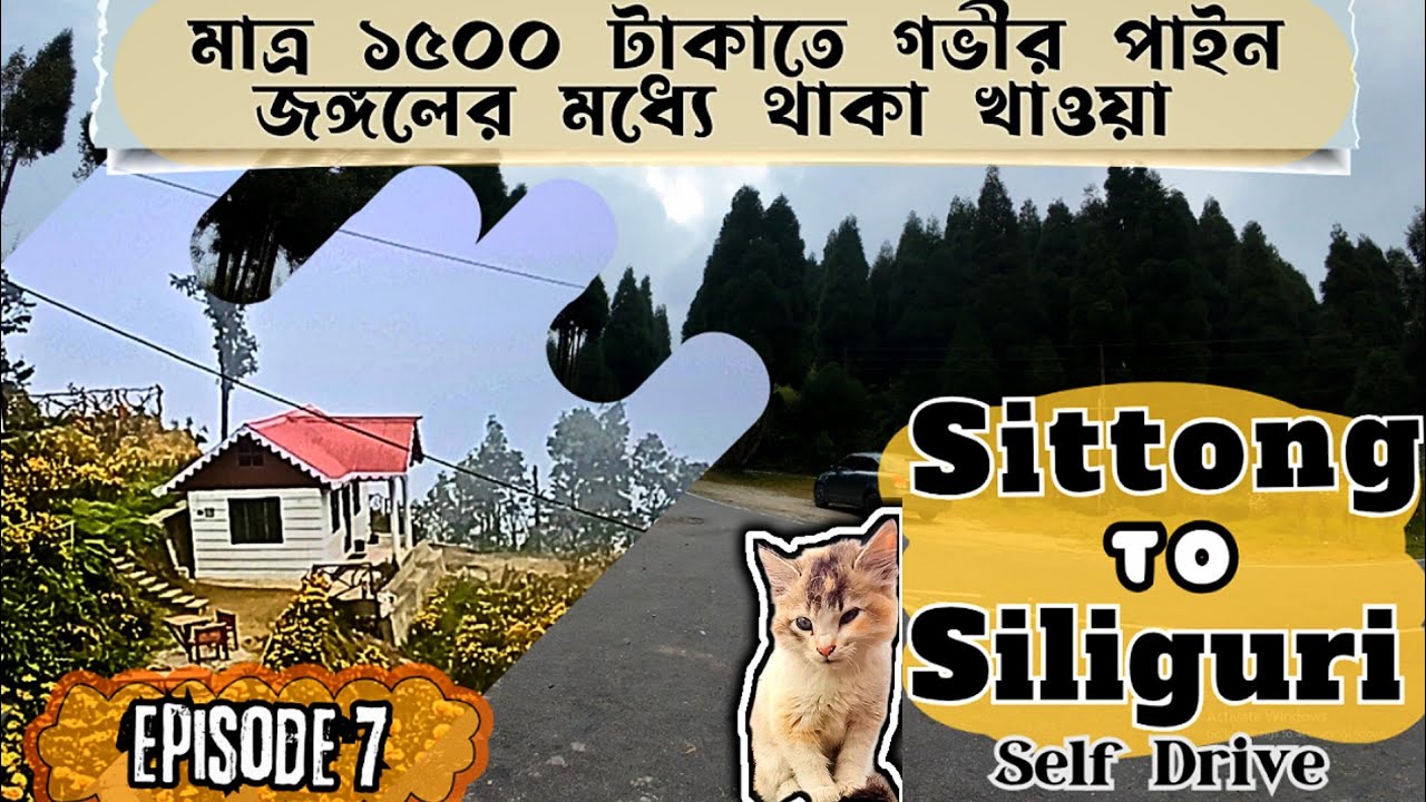 Sittong To Siliguri | Via Kurseong | Road Detail Video | Self Drive | Chimney Village | Dowhill