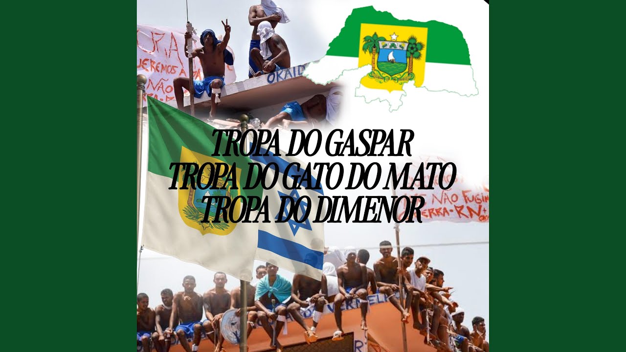 Tropa do Gaspar Tropa do Gato do Mato Tropa do Dimenor SDC