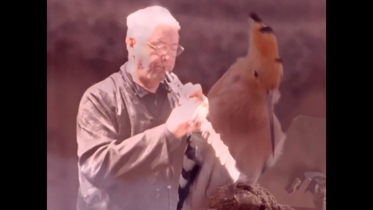 Nigel Treherne - Tereus