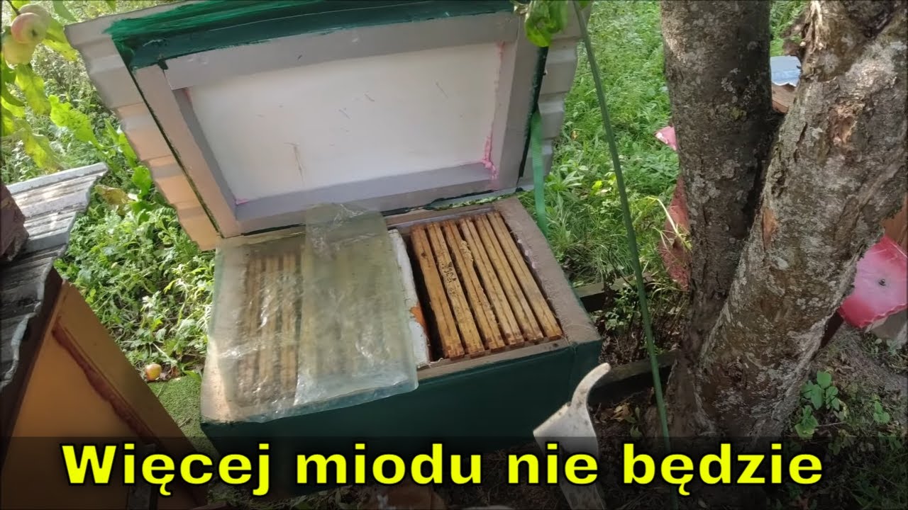 Przesiedlenie odkładu do nowego ula. | Zabieram ostatnie nadstawki. Nawłoci nie ma.