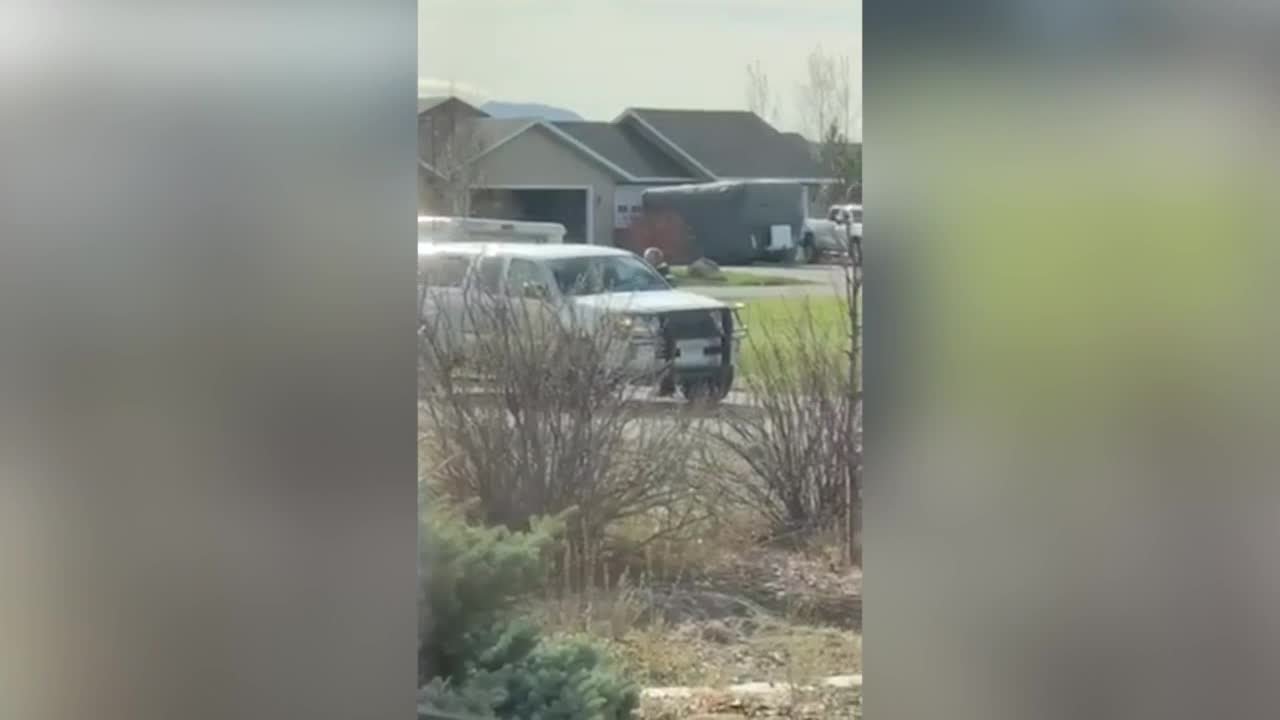 U.S. Postal Service investigating assault by employee in Helena Valley