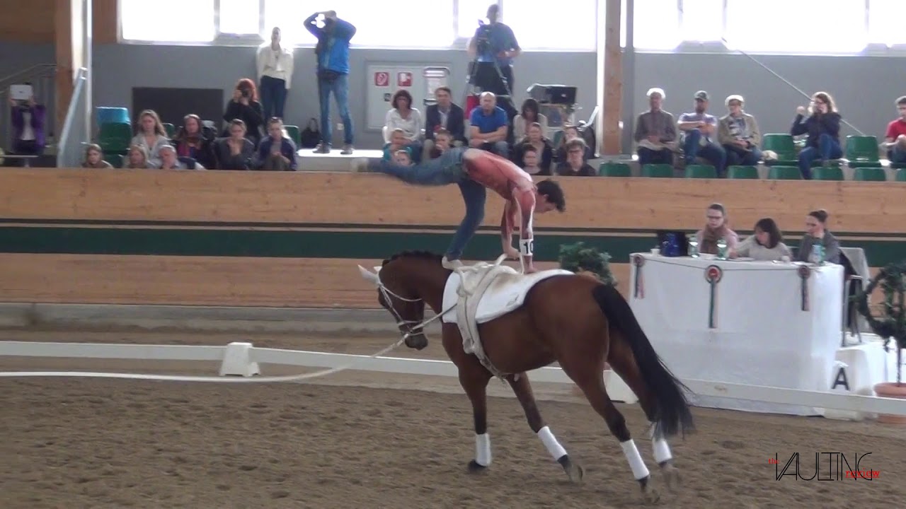 Georg Gabl (AUT), CVIO Ebreichsdorf 2019