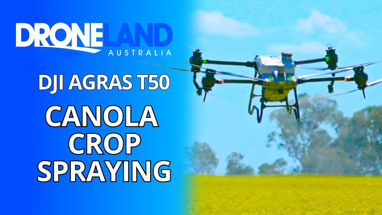 Workflow For Agras T50 Spraying Canola Crop