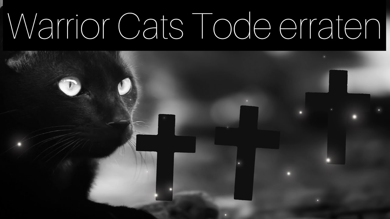Warrior Cats Tode erraten!💀(TW)