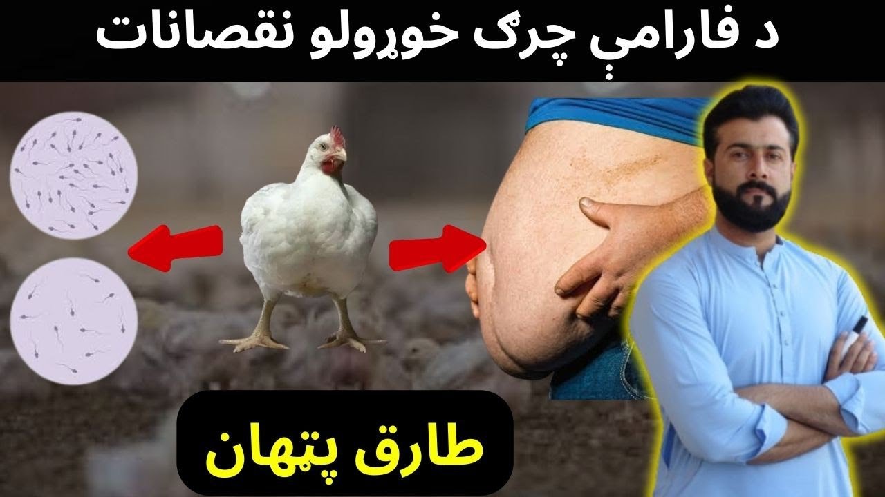 Harms caused by eating Broiler chicken explained by Tariq Pathan
