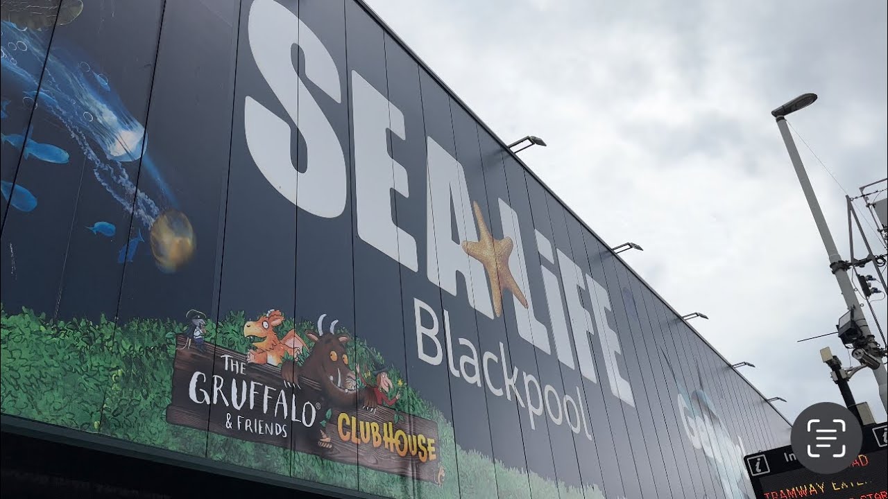A calming visit to Sealife Blackpool (May 2024)