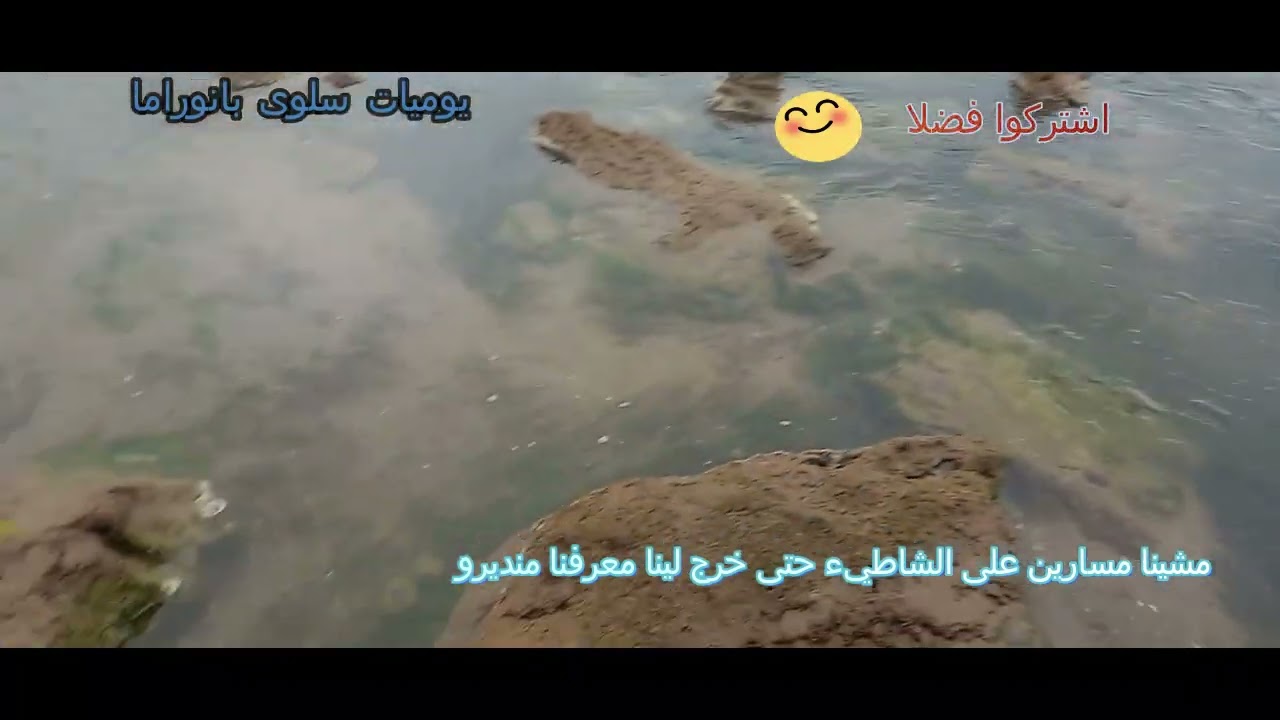 اربي السلامة خرجت نصور هذا الفيديو الجميل على الشاطيء تبعونا الكلاب الضالة شوفو  كيفاش منعنا منهم