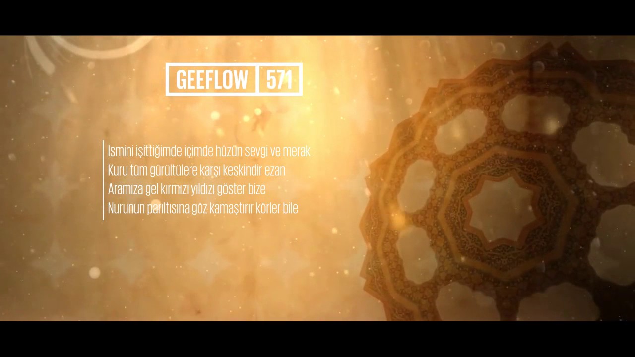 Geeflow - 571