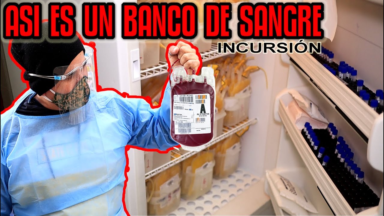 🩸 💉 VISITAMOS UN BANCO DE SANGRE - INCURSIÓN | DILO NOMAS