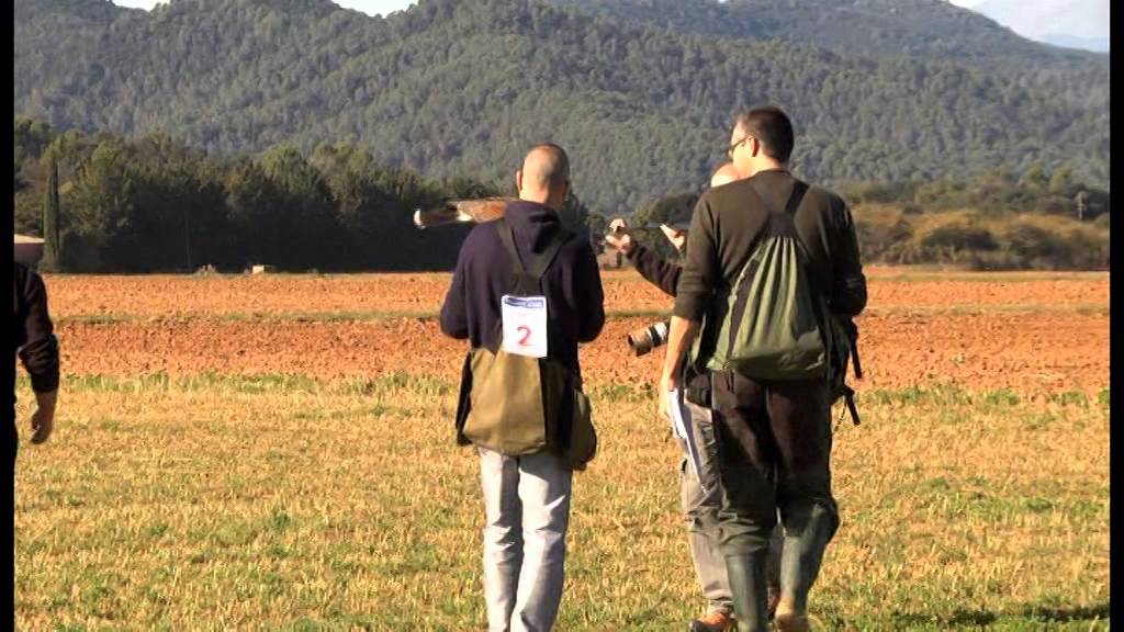 VI Campionat de Catalunya de Falconeria 2014