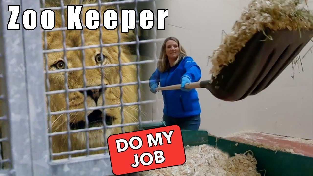 Hey Do My Job - Zoo Keeper