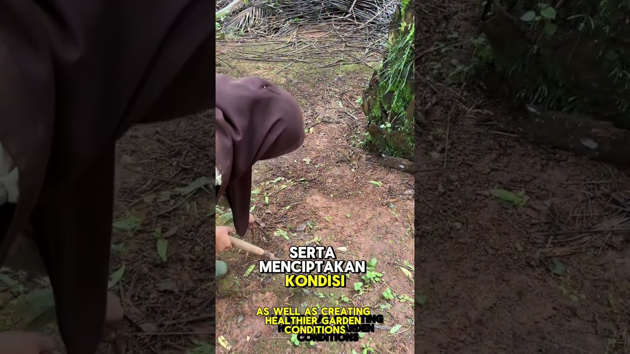 MANAJEMEN PEMELIHARAAN TANAMAN KELAPA SAWIT