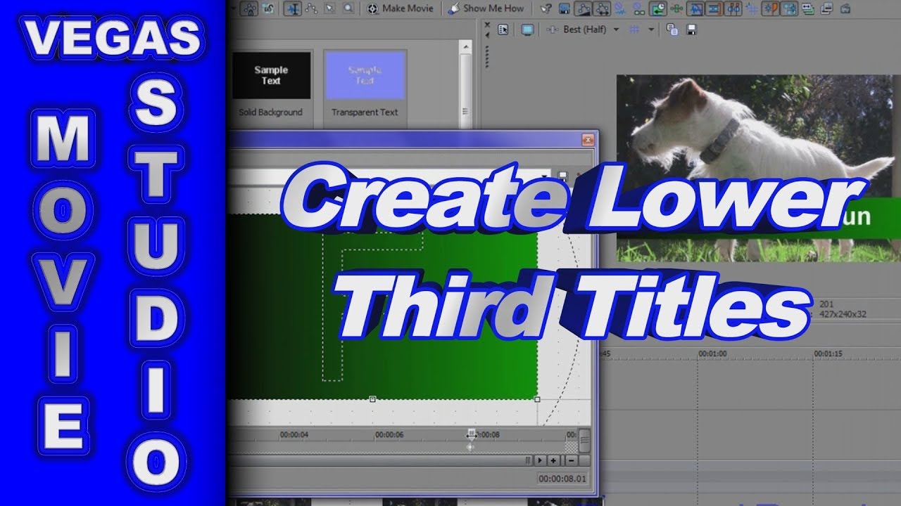 How to Create & Animate Lower Third Text using Sony Vegas Movie Studio