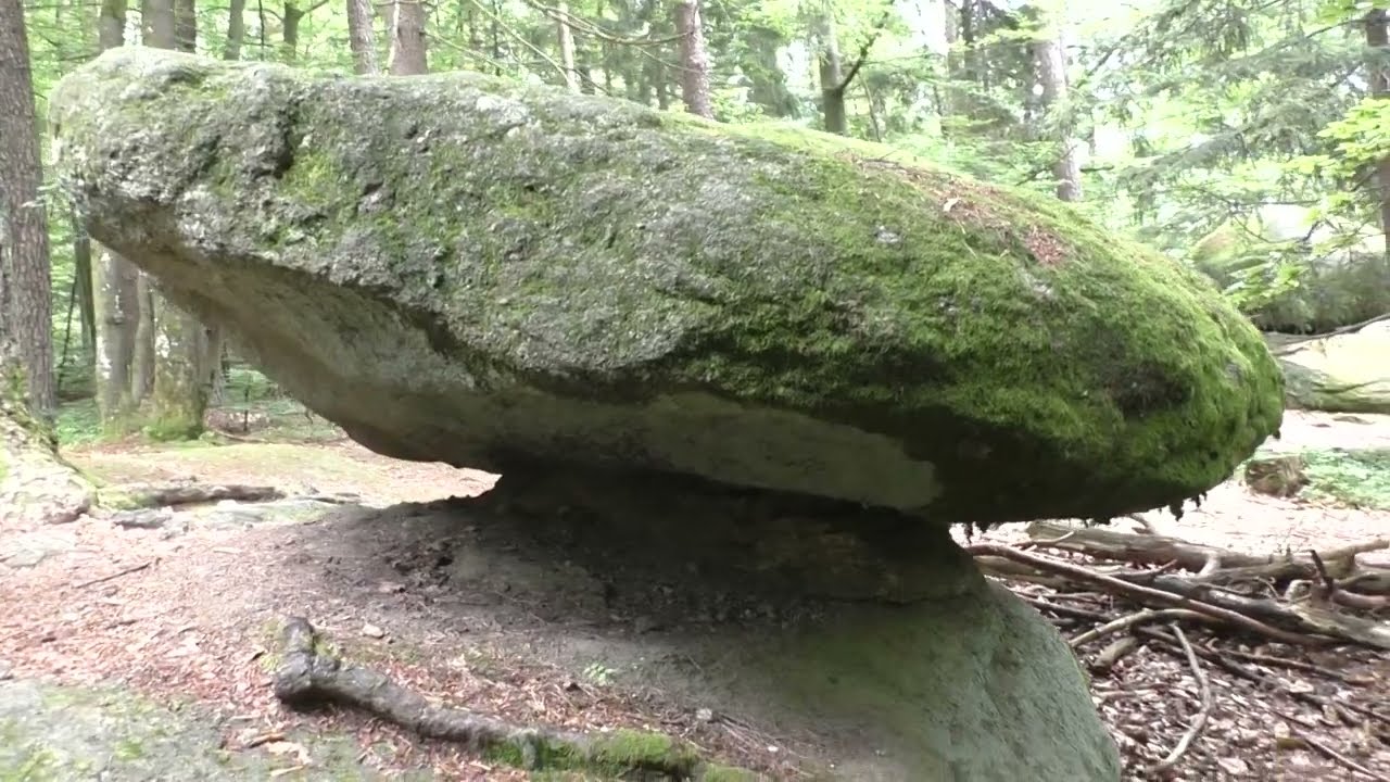 Magical Mystery Tour 2024 : Wackelstein