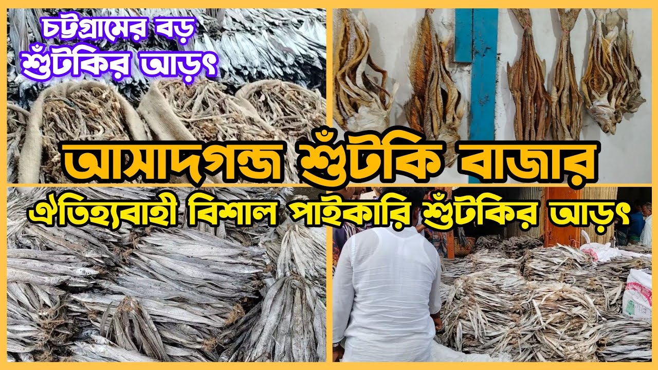 দেশের সর্ববৃহৎ শুঁটকির পাইকারি আড়ৎ | ব্যবসার জন্য শুঁটকির বড় আড়ৎ | দাম জানুন? আসাদগঞ্জ, চট্টগ্রাম