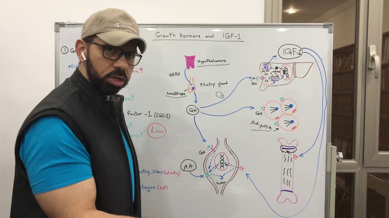 Growth Hormone & IGF-1