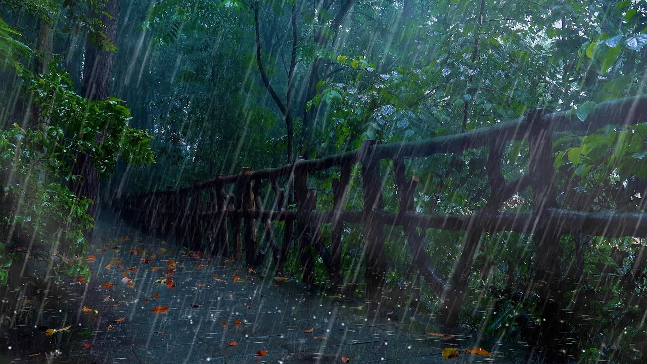 ✅最適合睡覺的森林雷雨聲10小時，瞬間進入深度睡眠狀態，重度失眠者必聽催眠曲，【sleeping thunderstorm sound】大自然的聲音，白噪音，自然音樂，治癒音樂，睡眠音樂