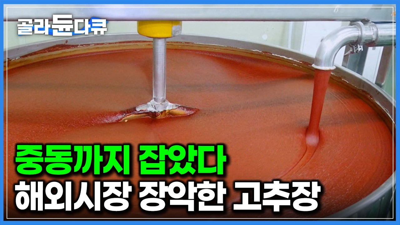 할랄 인증 완료. 두바이, 카타르까지 중동 시장 확실하게 잡았다는 한국 고추장 공장｜세계 각국으로 수출되는 한국 전통 장 대량생산 과정｜극한직업｜#골라듄다큐