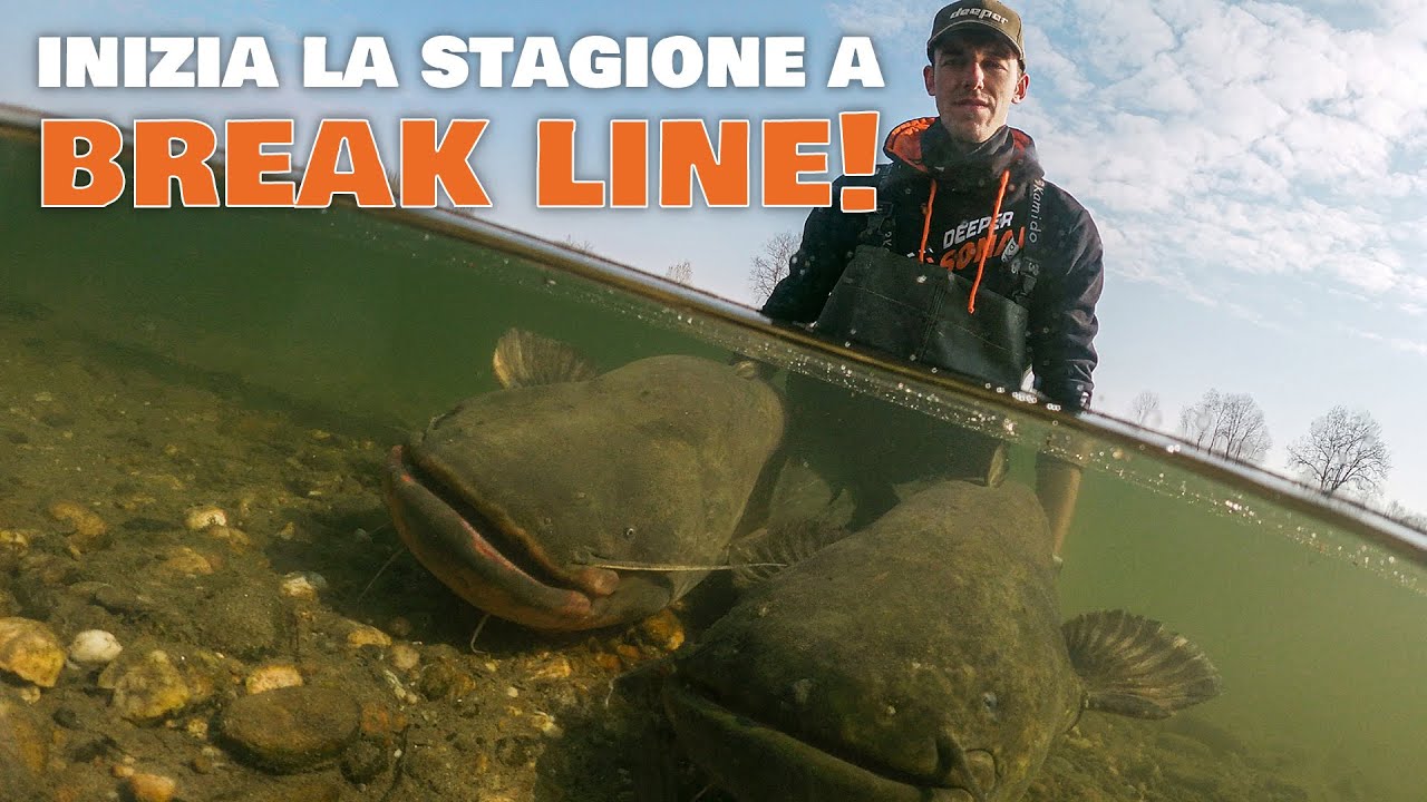 inizia la stagione a BREAK LINE! (pesca ai SILURI del fiume PO)
