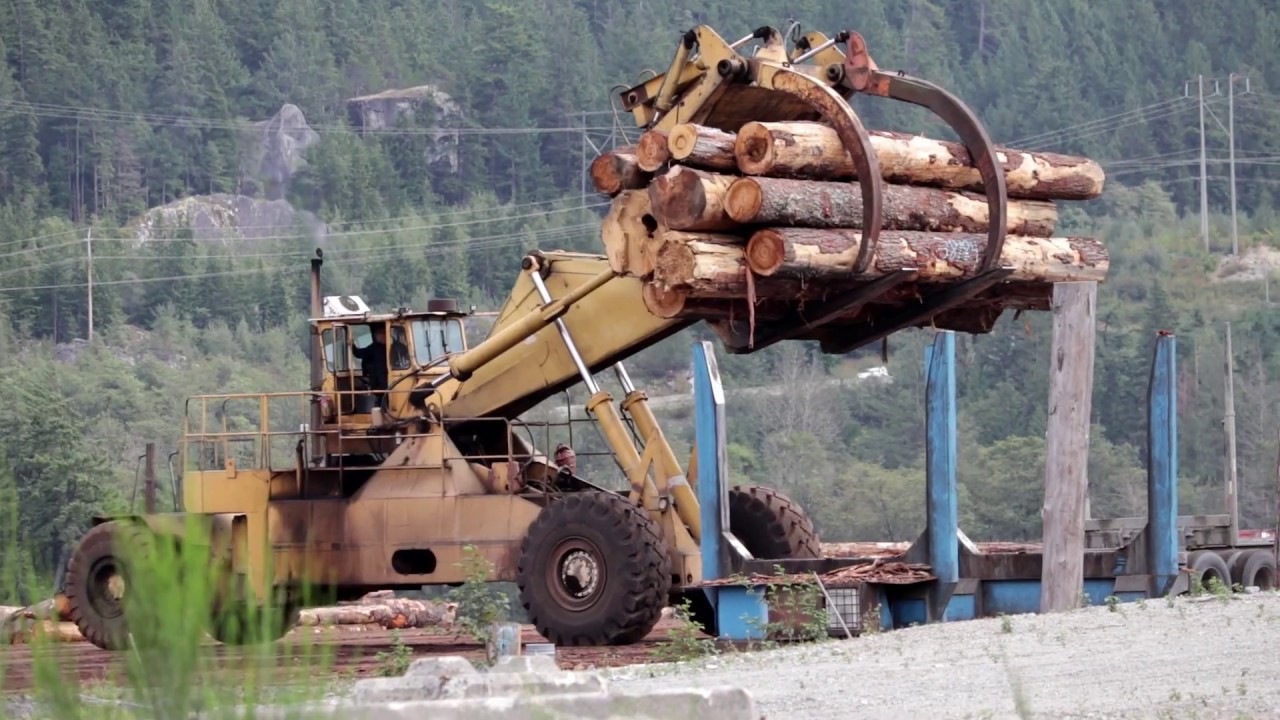 I found a log stacker!!!!
