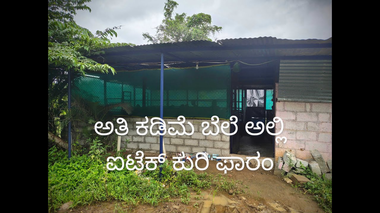 LOW BUDGET HIGH TEACH SHED IN VILLAGE  GUDAL