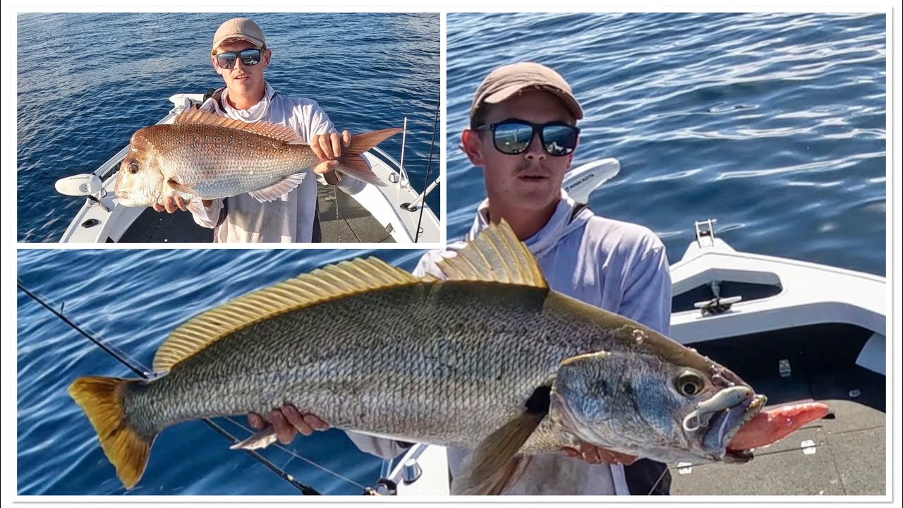Brisbane fishing for Snapper and Jewfish