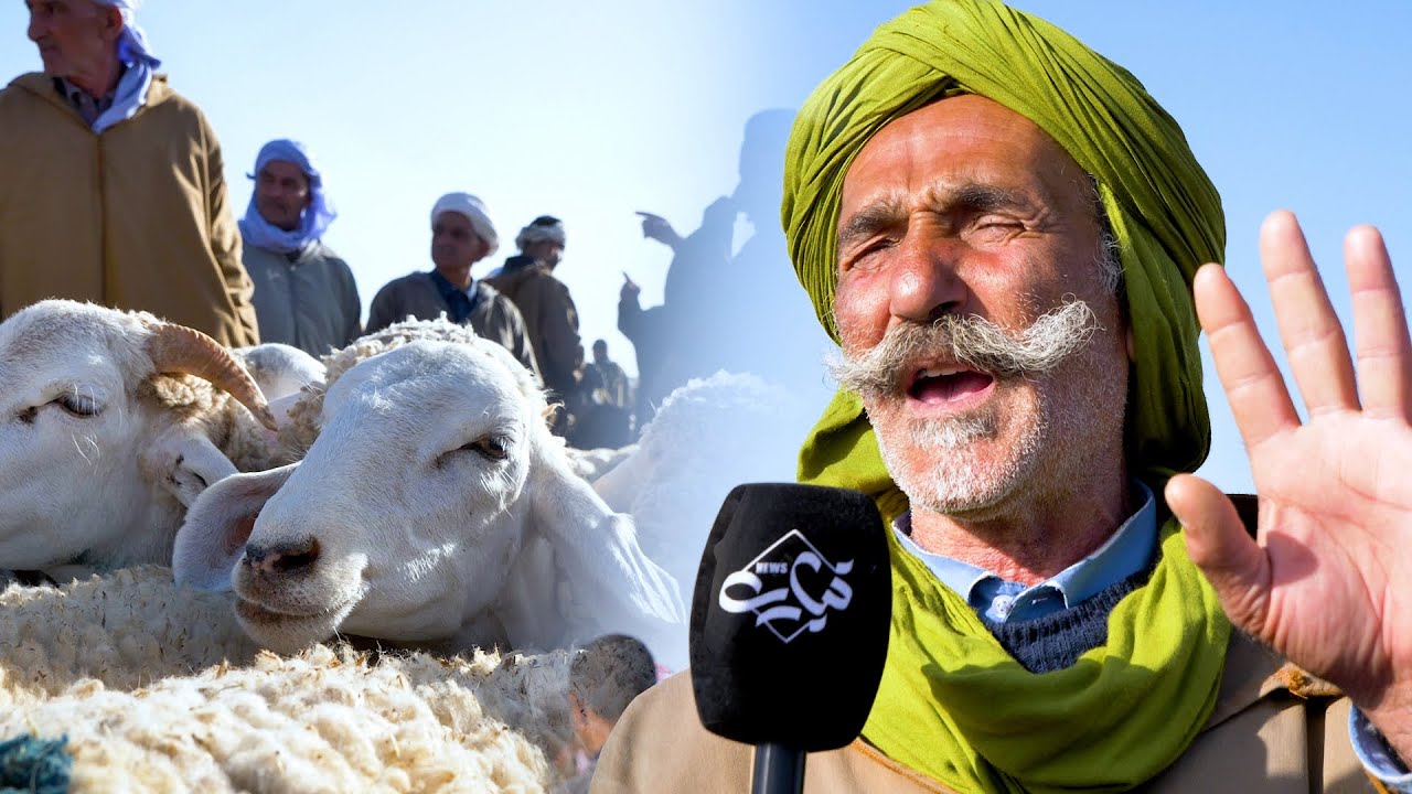إعادة فتح سوق المواشي لبلدية حمادية بعد أن كان مغلقا لأزيد من شهرين