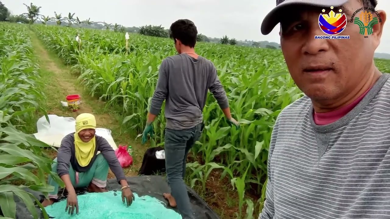BIYAHENG AGRI SA CAGAYAN VALLEY ALL HIGH YIELD - EPISODE 1 (GOOD AGRICULTURAL PRACTICES)