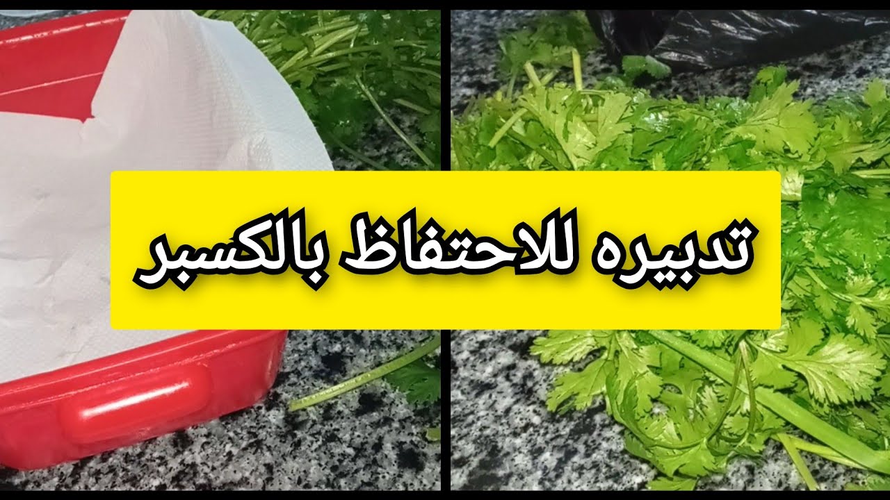 الاحتفاظ بالكسبر و الكرافس لأطول مدة ممكنة 🍀 تدبيرة رائعة راح تنفعكم 