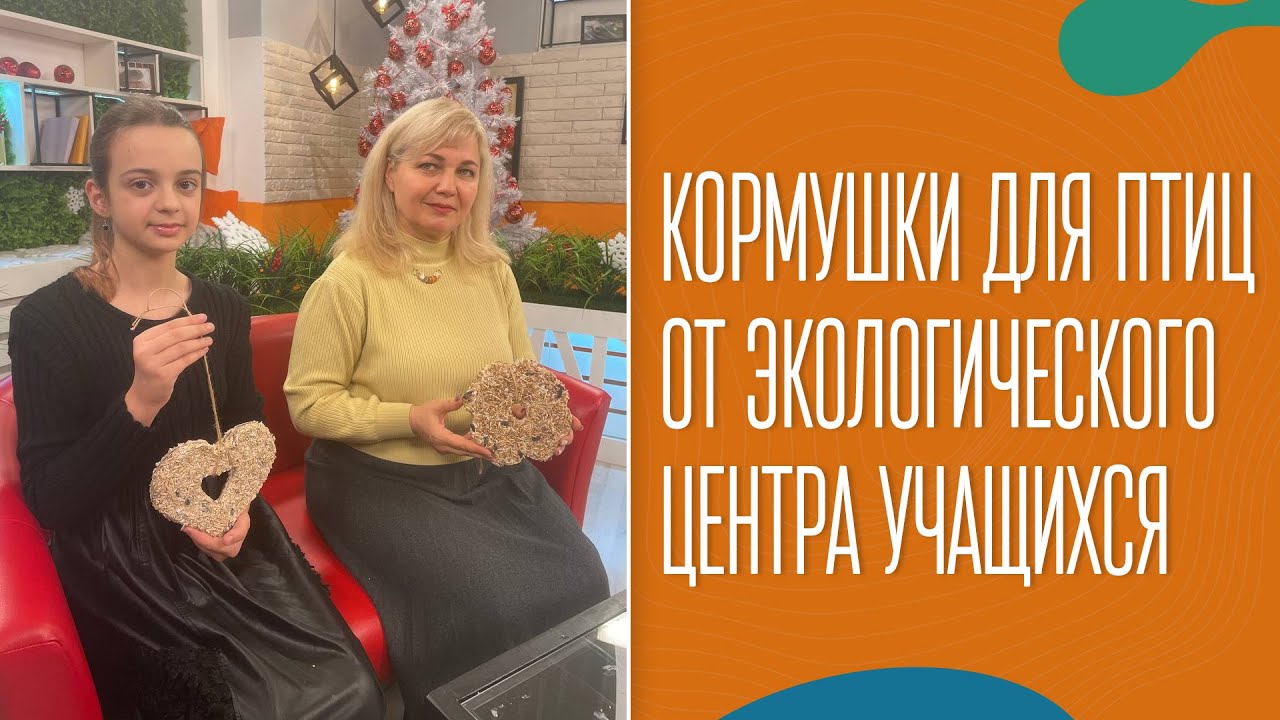 Кормушки для птиц от Экологического центра учащихся