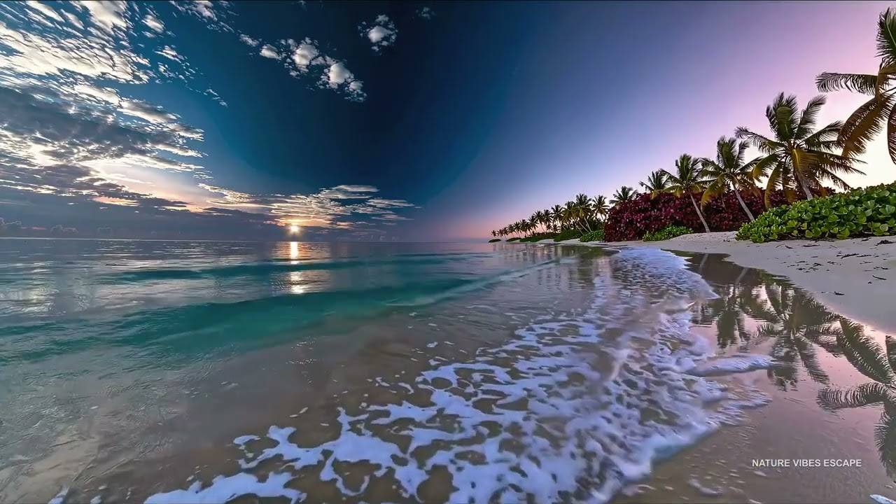 Focus 🌴 Bahia Honda Beach Florida Keys Atlantic Vibe Ocean Sounds Sleep Calm Study 12H 4K 🌊