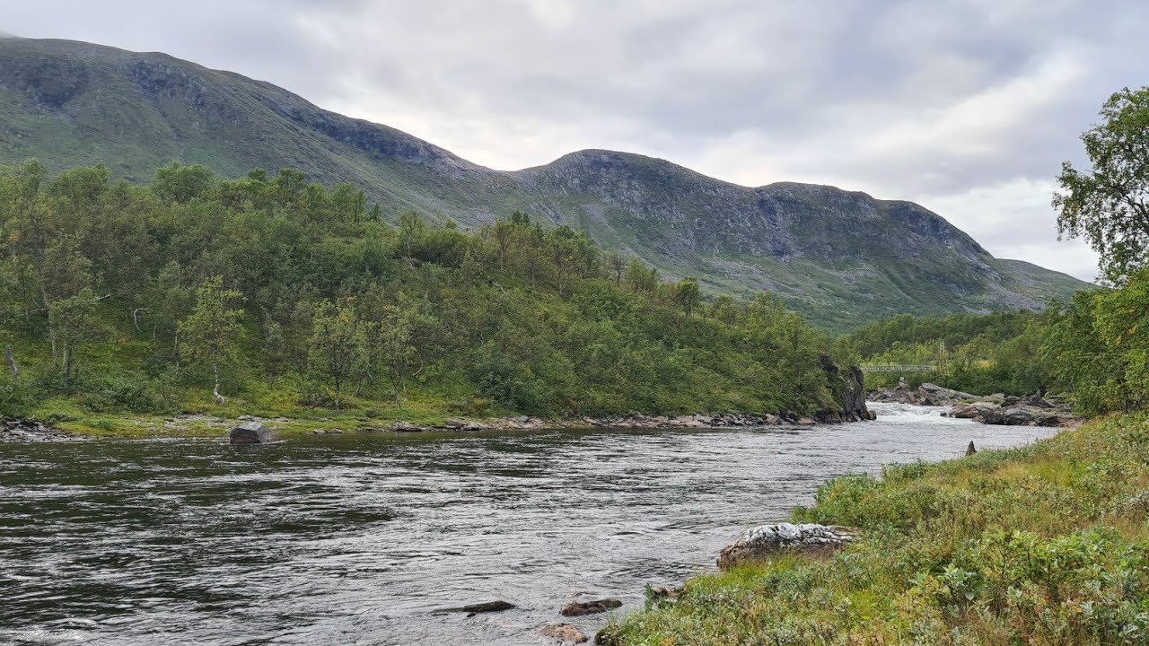 Sensommarvandring Vindelfjällen
