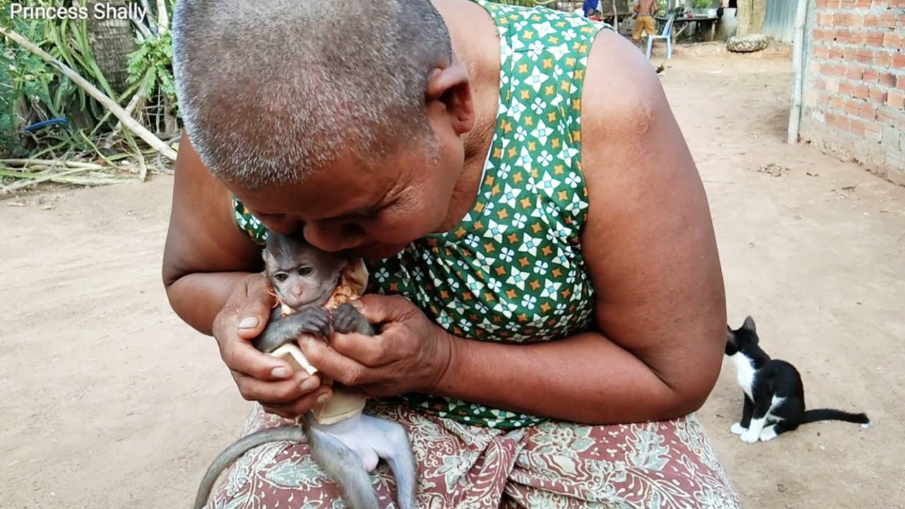 [Sweet Kiss] Grandma Gives welcome Sweet Kiss To Princess Shally