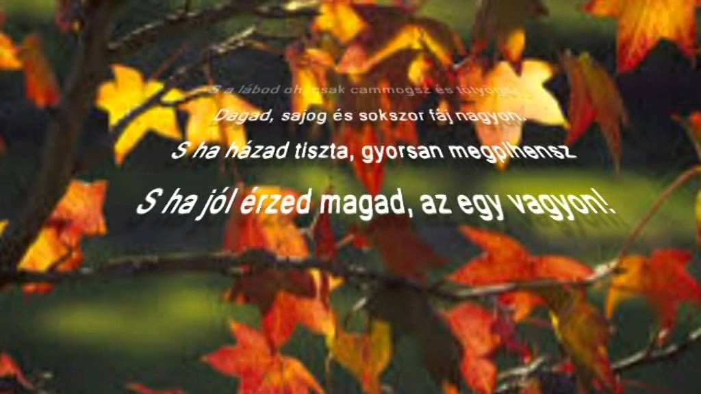 MARADJ MÉG  *  ERDÉLYI TERÉZIA