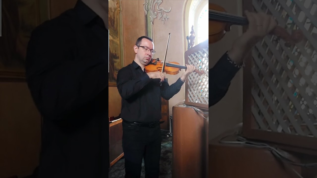 Henri Seroka • Ave Maria • violin: Kamil Niemiec • organ: Michał Legowicz