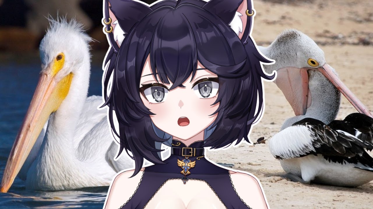 BIRDS ARE TERRIFYING | Saphwyn Reacts to Casual Geographic