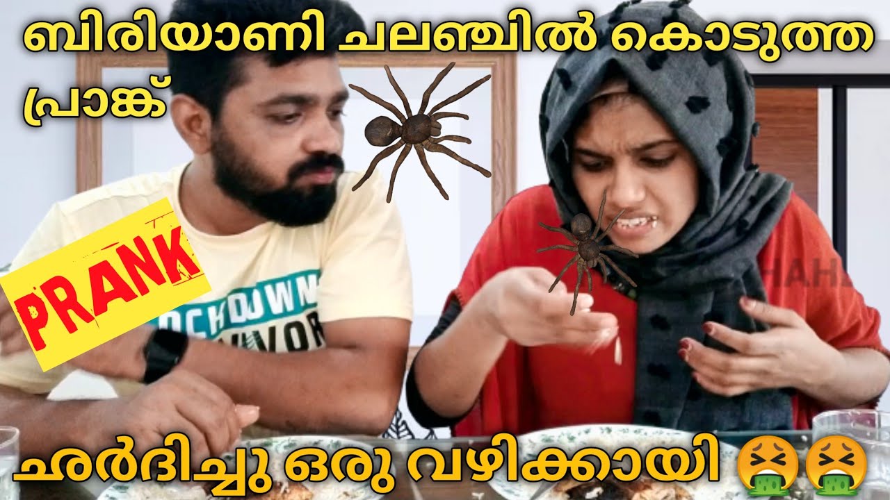 കൊടുത്താൽ കൊല്ലത്തും കിട്ടും 😂|spider in biriyani prank|biriyaniprank |prankgonewrong|finshashaheer