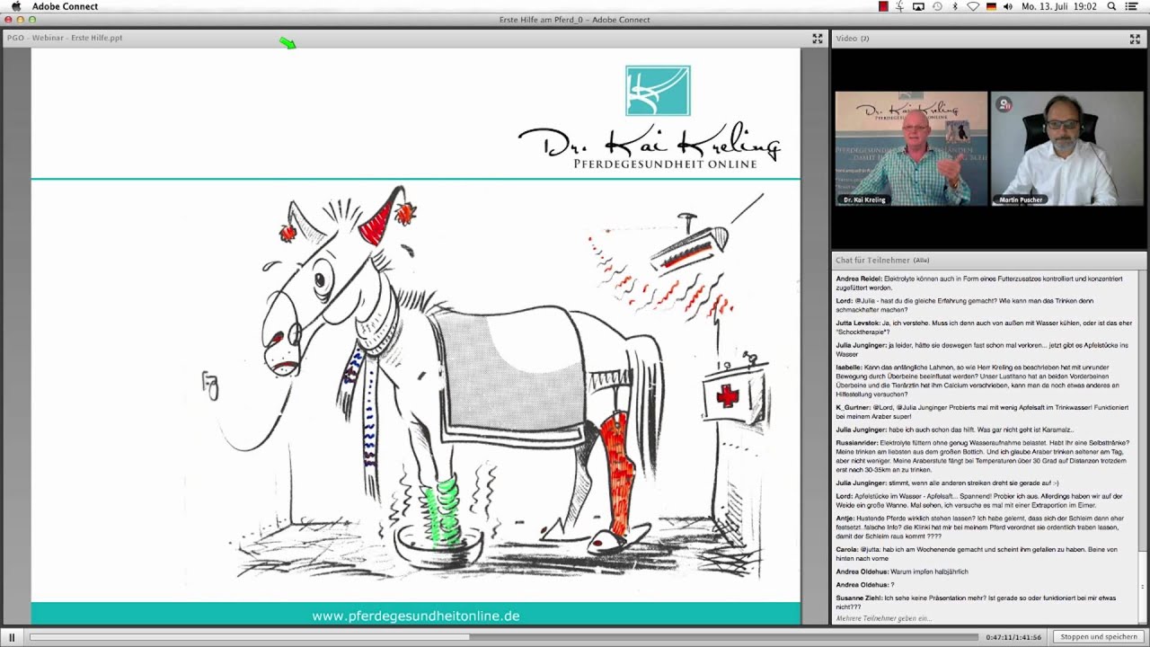 Erste Hilfe am Pferd - Webinar Dr. Kreling