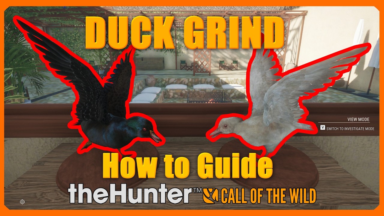 Ultimate Duck Hunting Guide 🎯 | How to Hunt Ducks Like a Pro! - 1JMGames