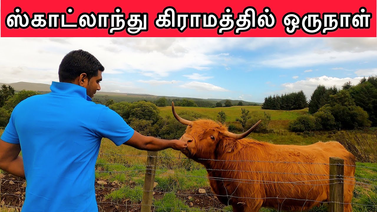Scotland villlage | Travel Vlog | London Tamil | UK | Tamil vlog