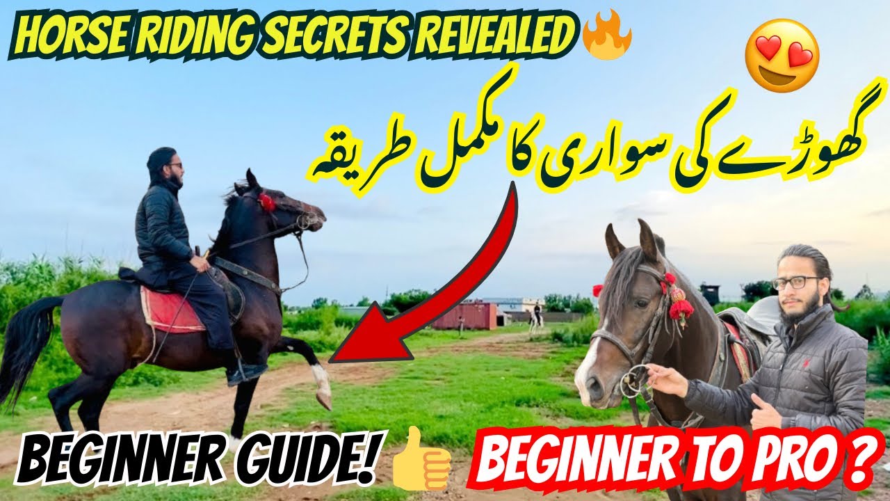 Horse Riding Tips for Beginners in Pakistan 🙌 | Basic skills step by step guide 👍 |🐴🇵🇰#horse #ride 