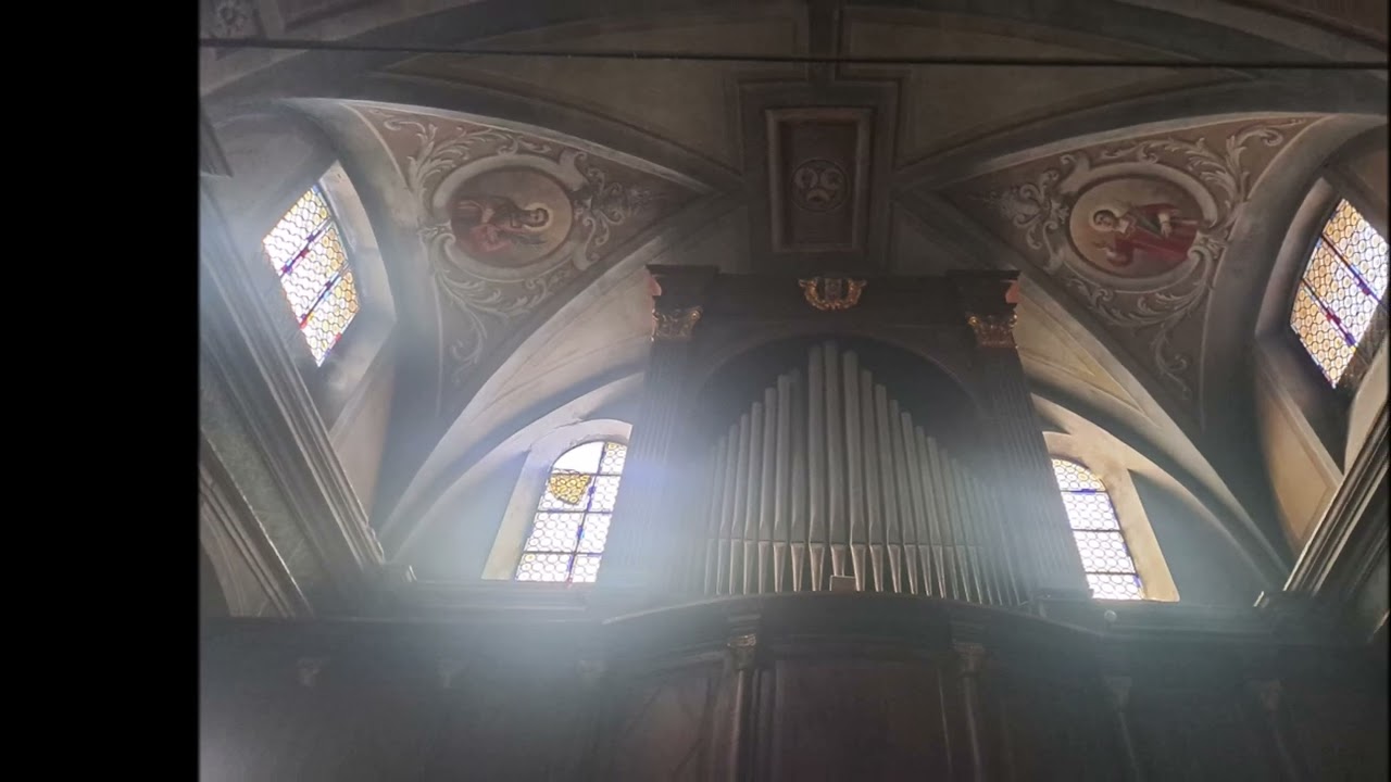 Sei partite per organo sul canto 